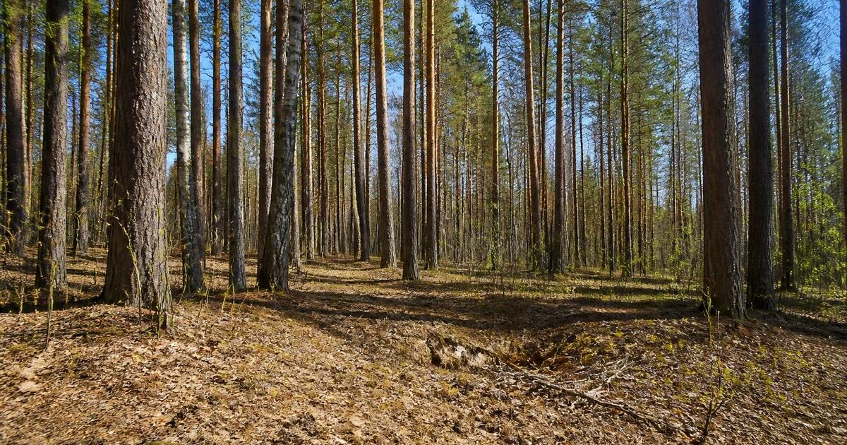 25 мая в Нижегородской области ожидается четвёр...