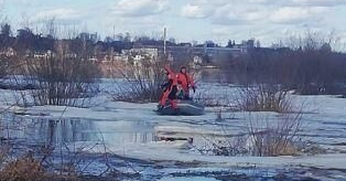 На реке Черной в Балахнинском округе двое людей...